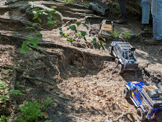 Vier Crawler auf verwurzeltem Waldboden