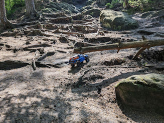 Crawler auf Waldboden