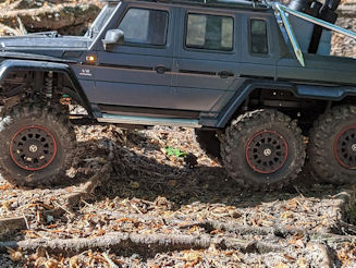 RC crawler on forest ground